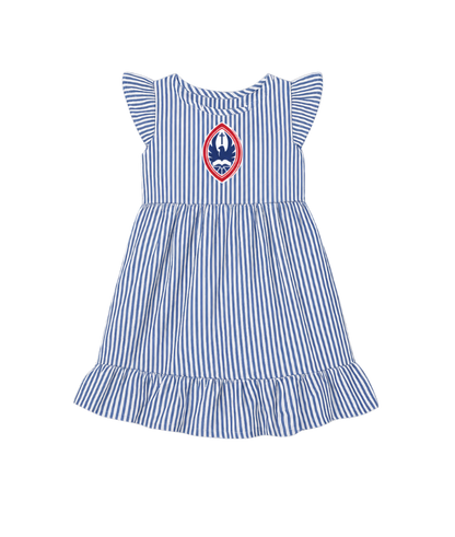 Little Kid St. John's Seersucker Flutter Sleeve Crest Dress